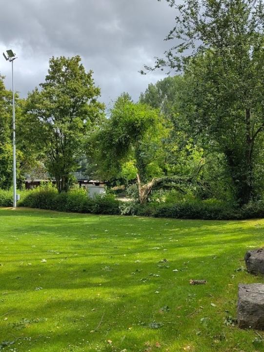 Sturmschäden 3