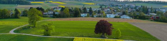 Birlig