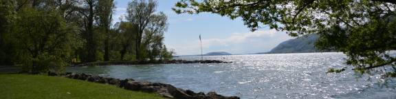 Seezone Bucht Erlenwäldli